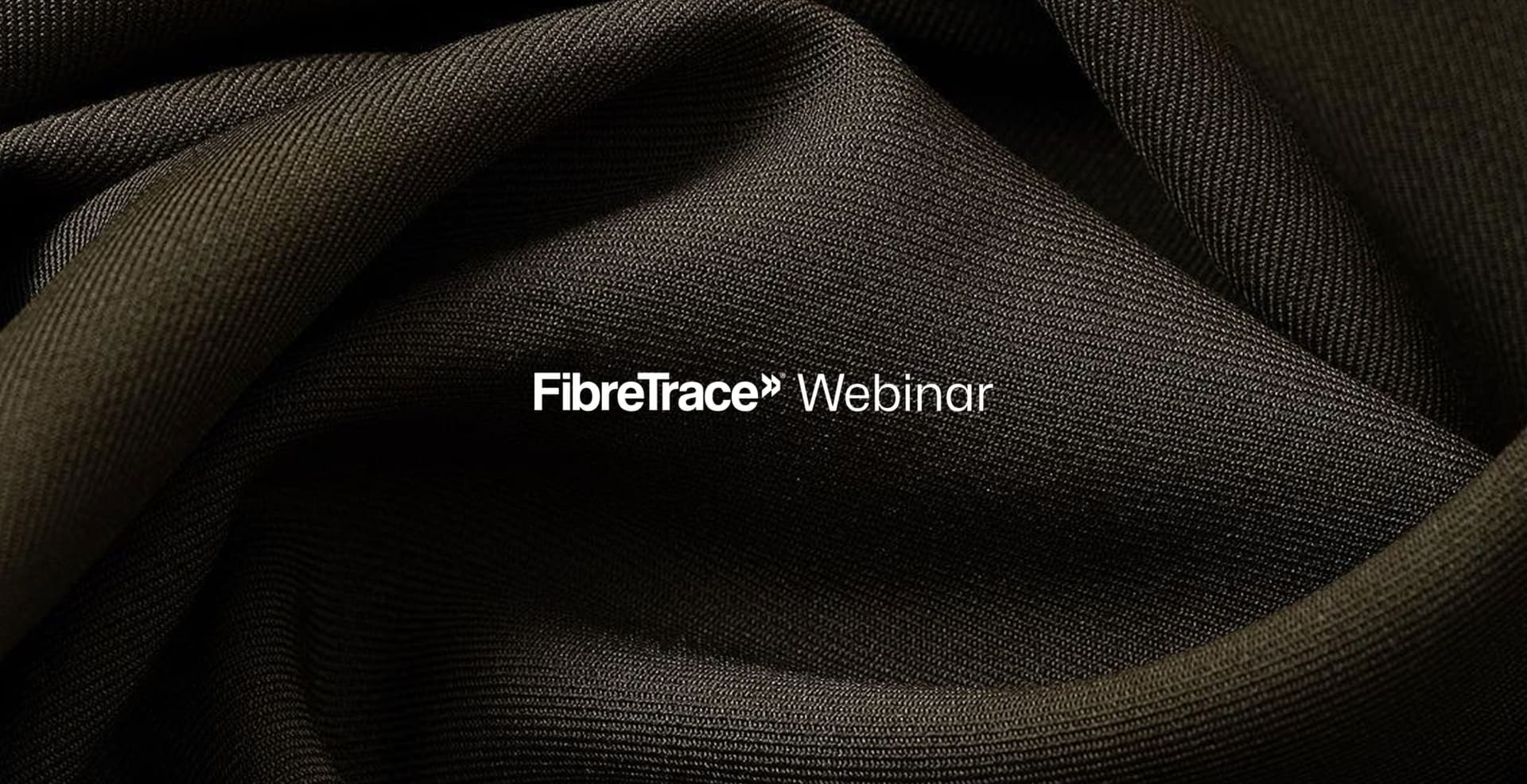 Masters of MAPPED: Impetus Group