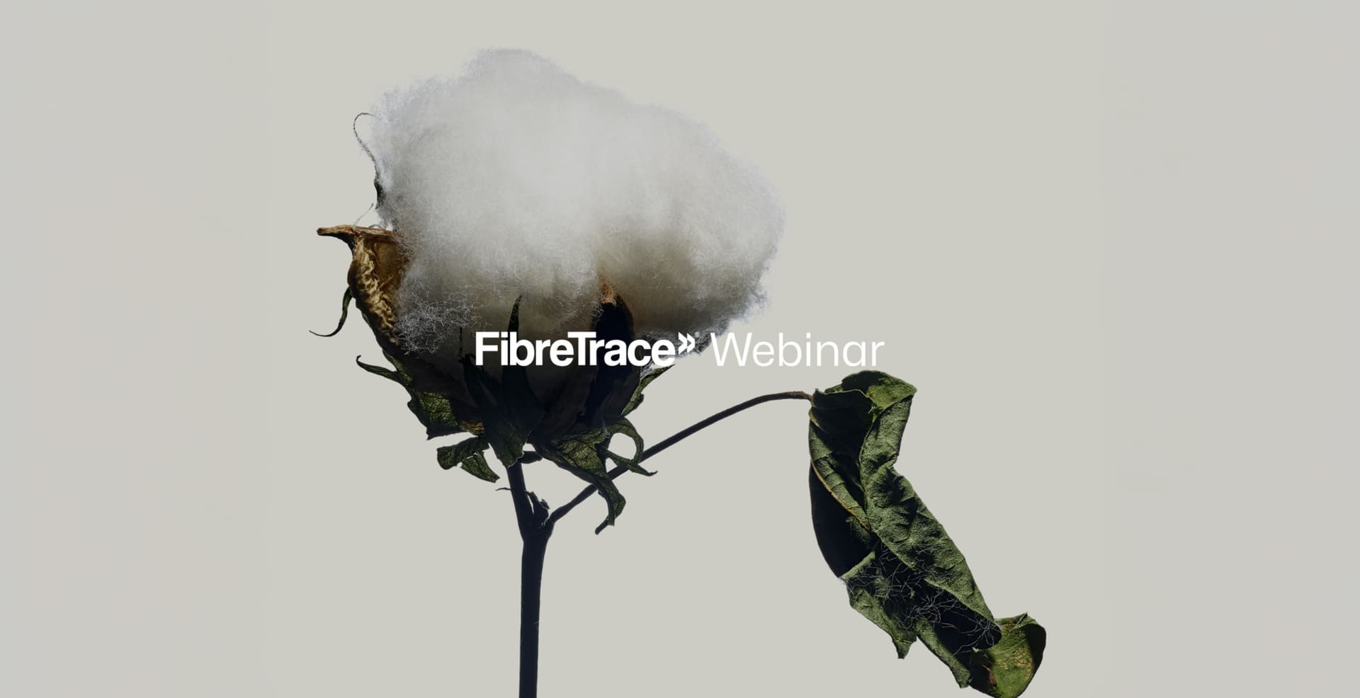 A Virtual Tour: Wathagar Cotton Gin