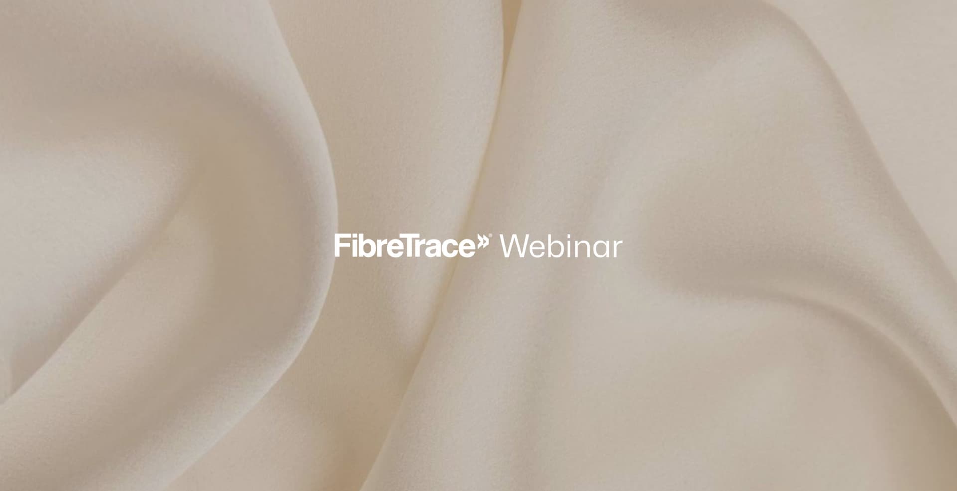 Masters of MAPPED: PVH