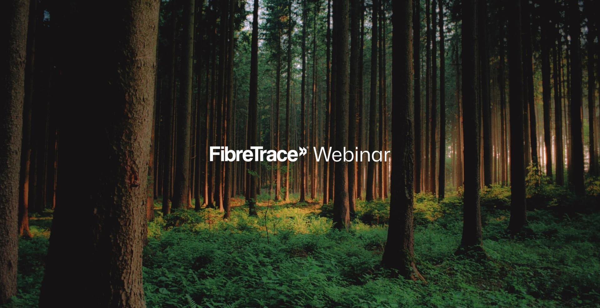 Understanding the impact of the EU’s deforestation Regulation.